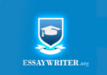 EssayWriter.org review logo