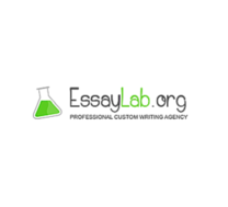 essay lab.com